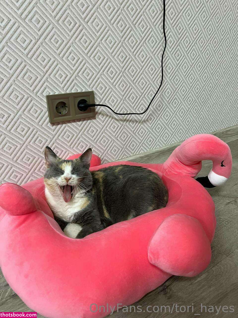 Tori Hayes Photo #168