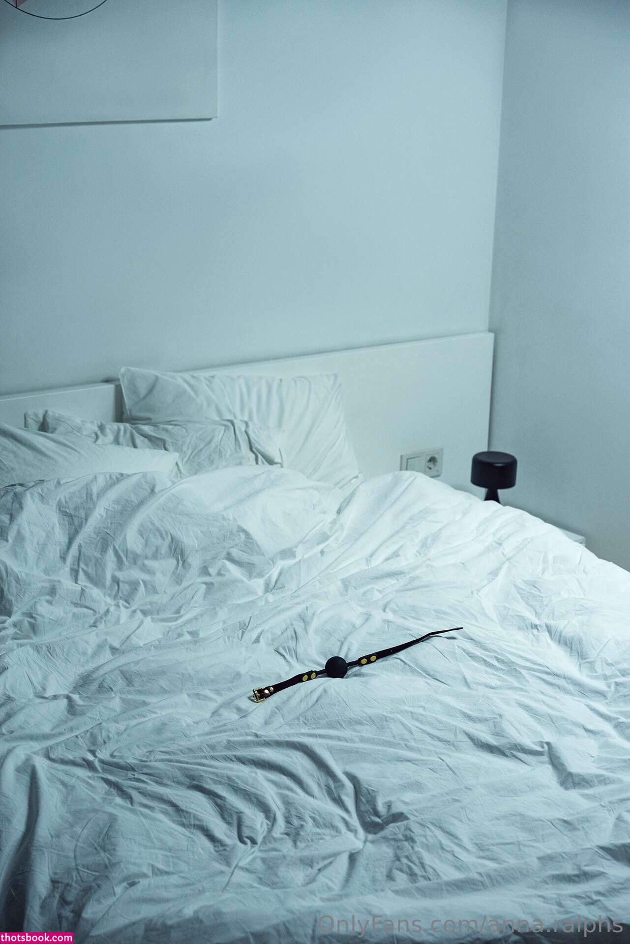 Deanralphs Photo #639