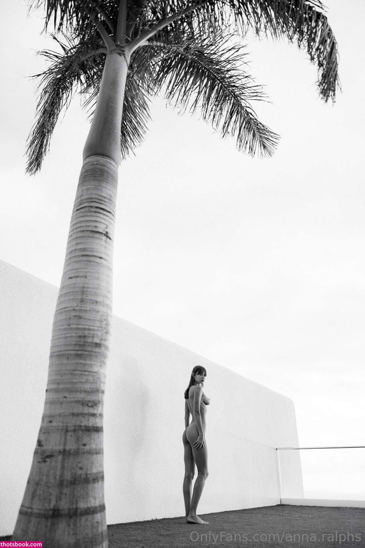 Deanralphs Photo #692