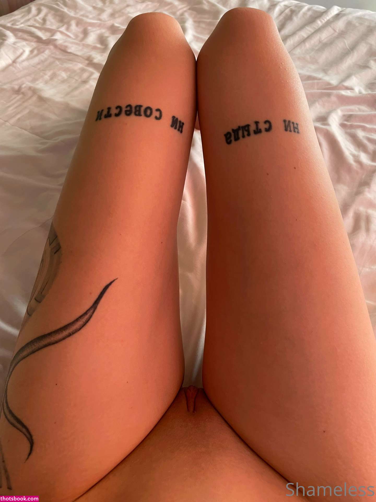 shamelesssg Photo #195