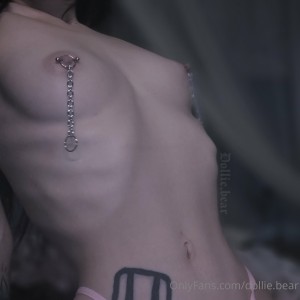 Dollie Bear Photo #144