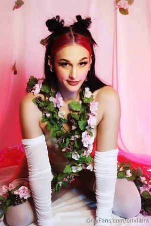 Brixlibra Photo #182