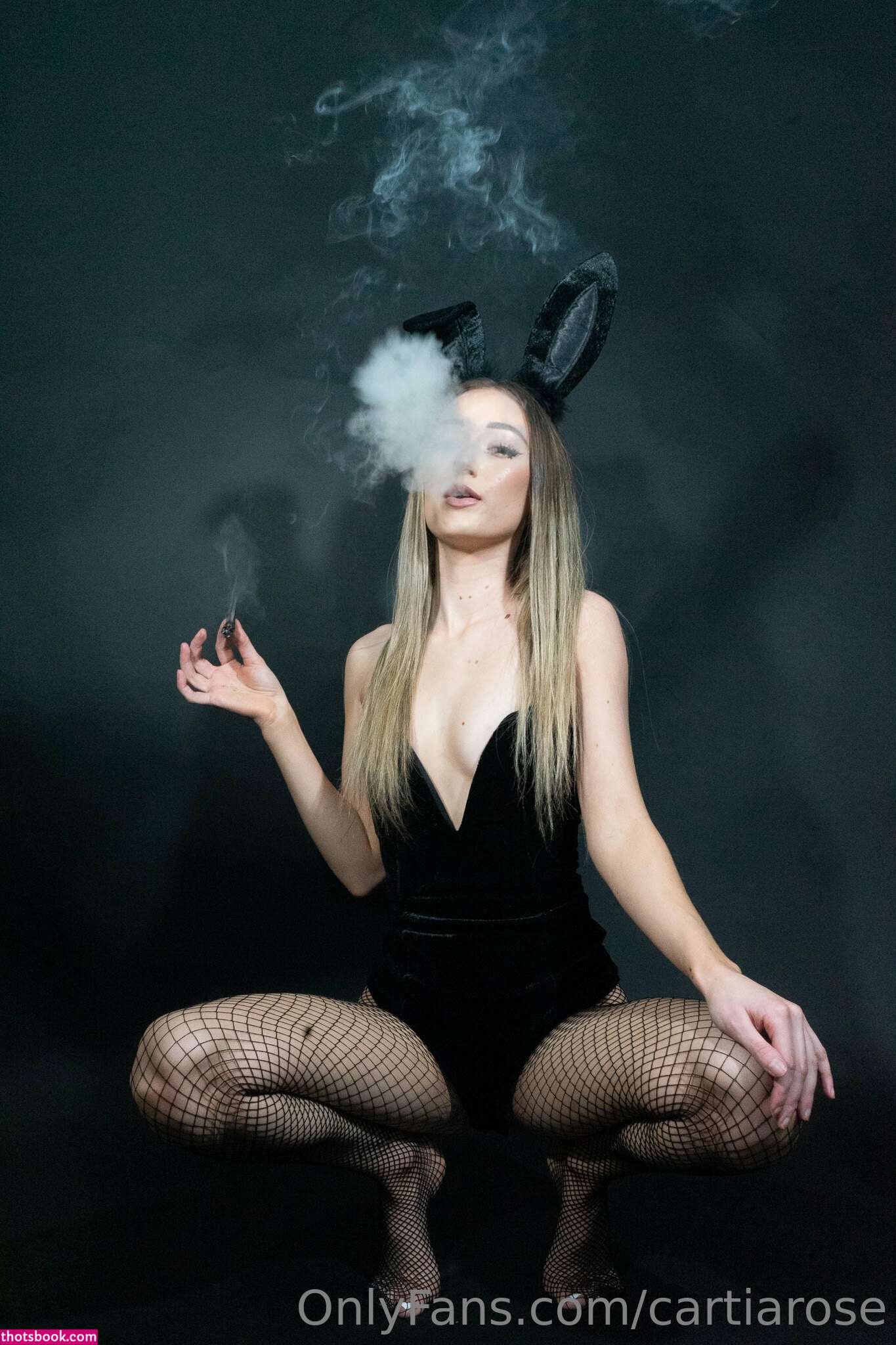 Cartia Rose Photo #42