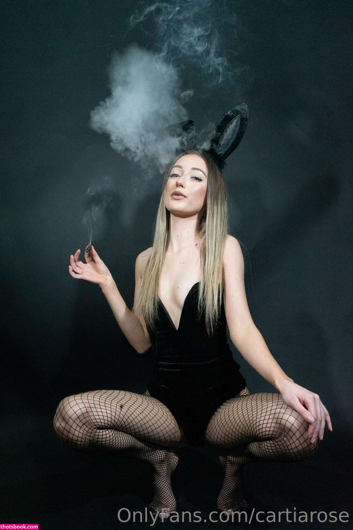 Cartia Rose Photo #52