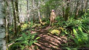 Athena Demos Photo #15