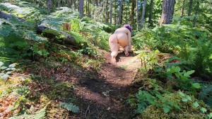 Athena Demos Photo #46