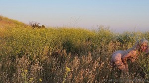 Athena Demos Photo #81