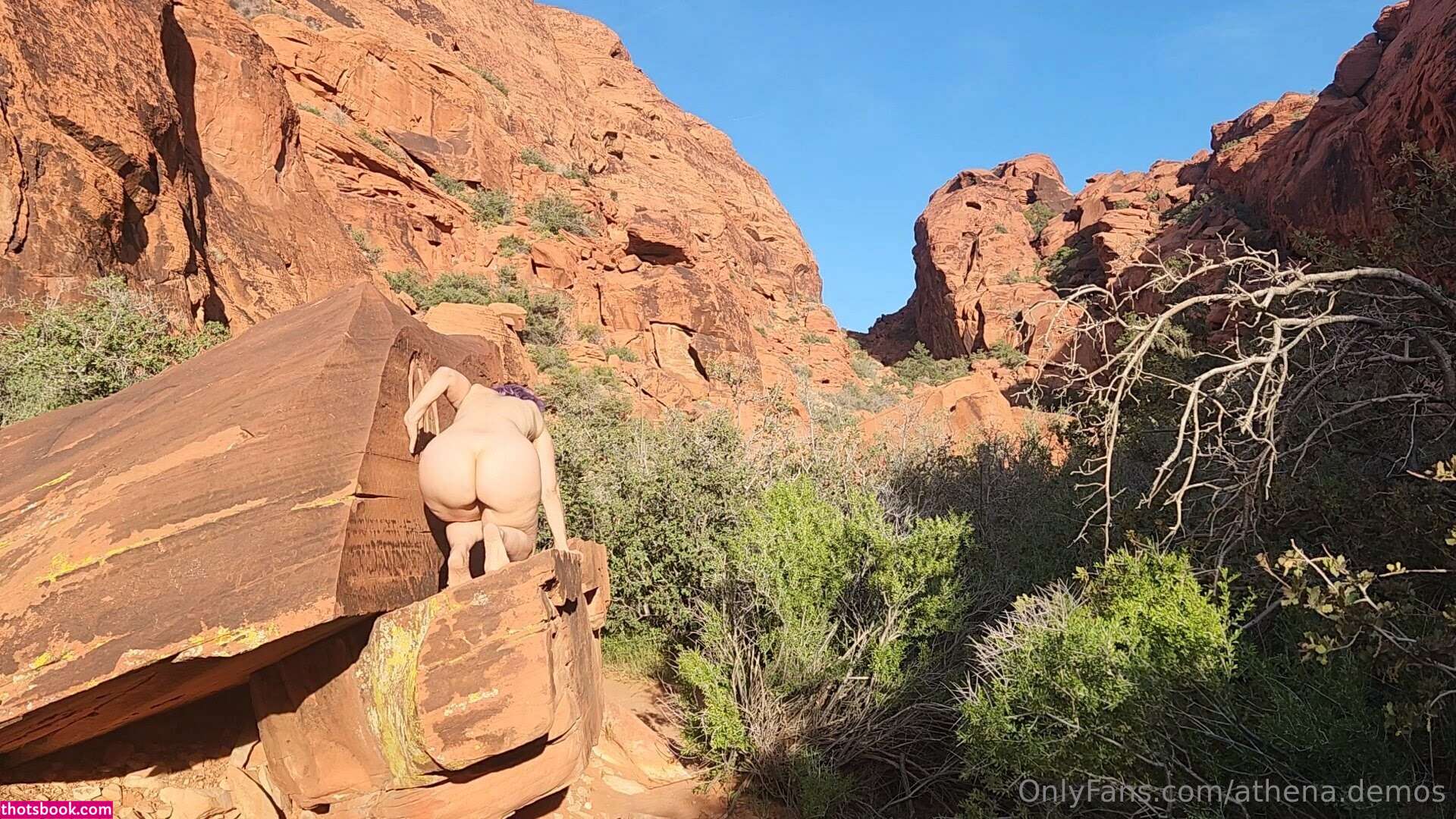 Athena Demos Photo #145