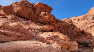 Athena Demos Photo #136