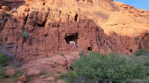 Athena Demos Photo #144