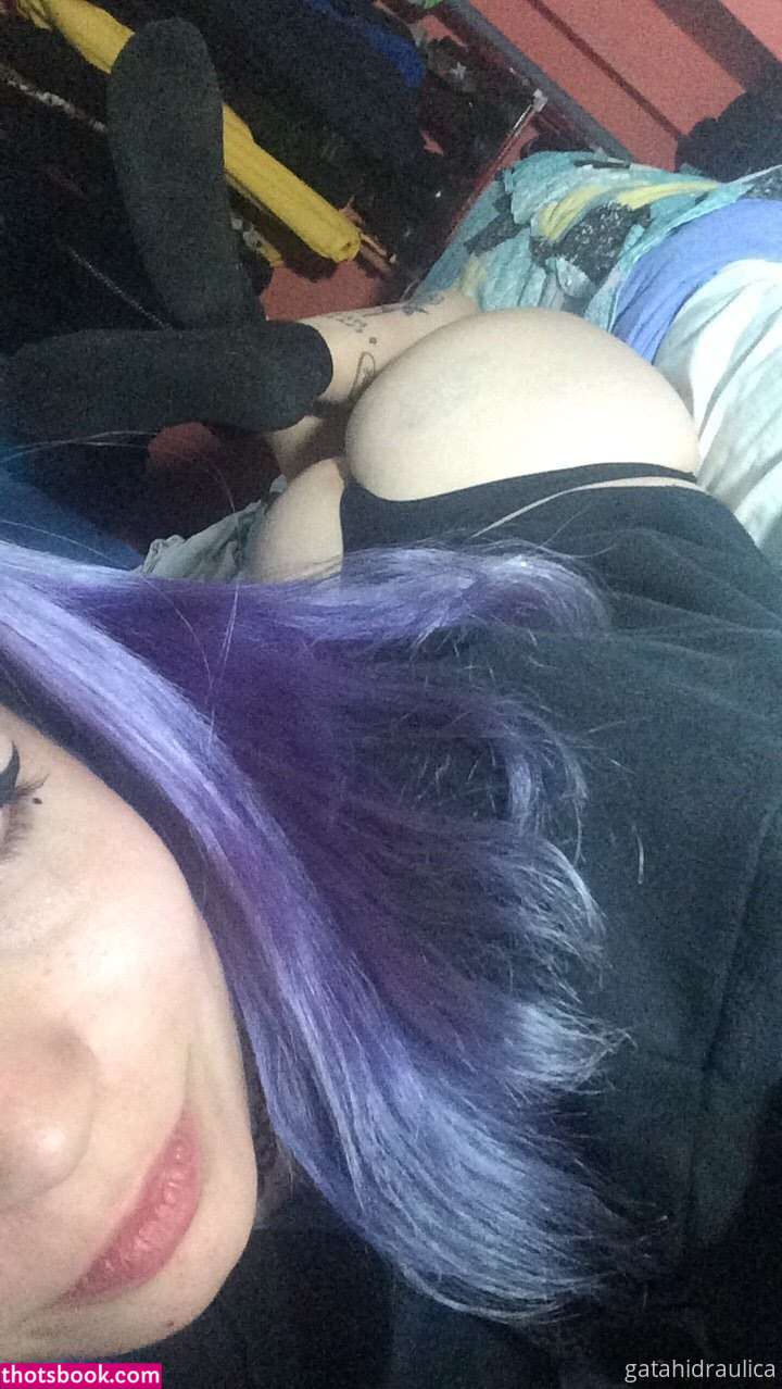 Gatahidraulica Photo #8