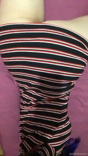 Gatahidraulica Photo #19