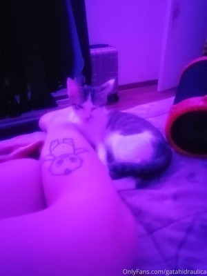 Gatahidraulica Photo #21