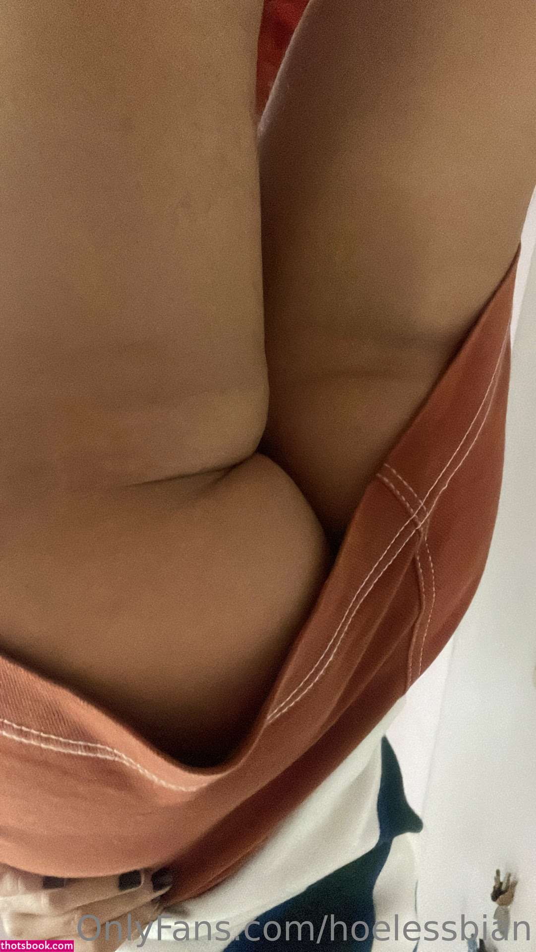 hoelessbian Photo #44