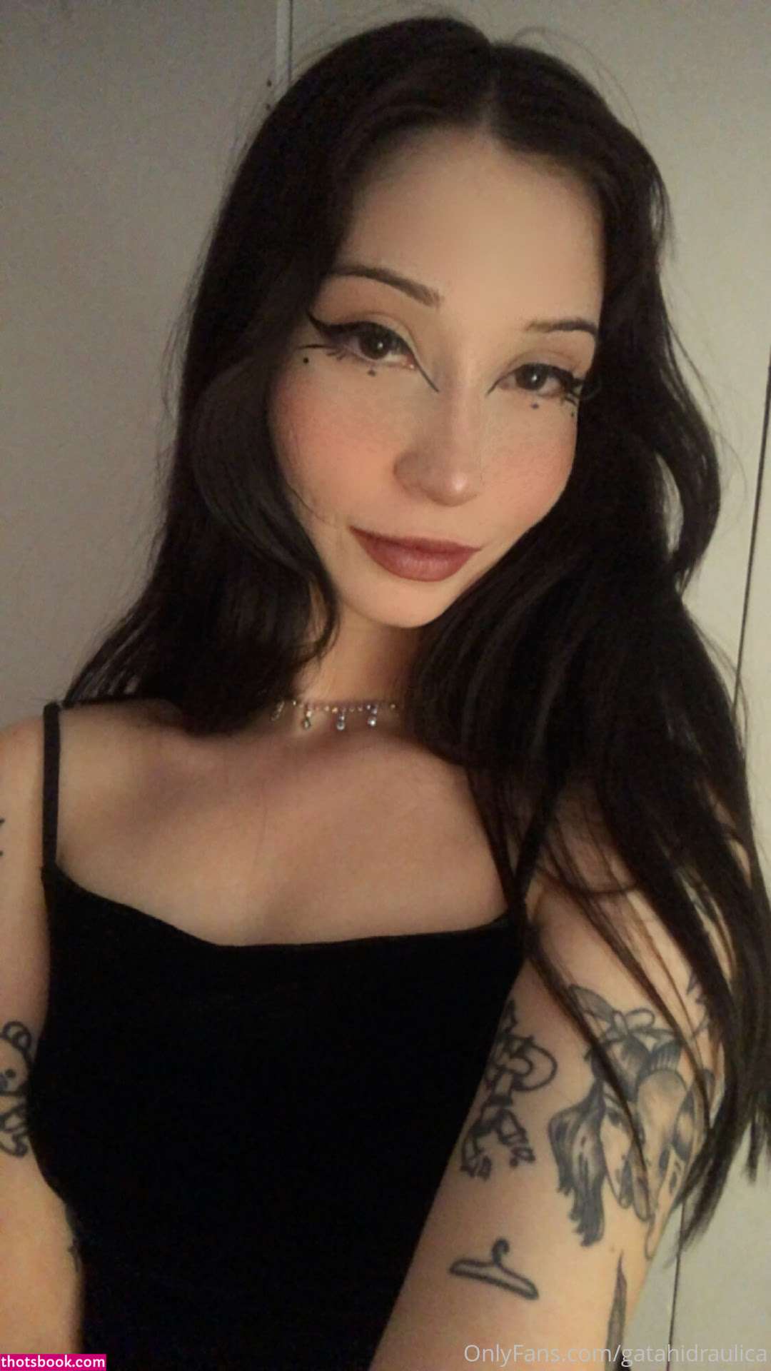 Gatahidraulica Photo #87