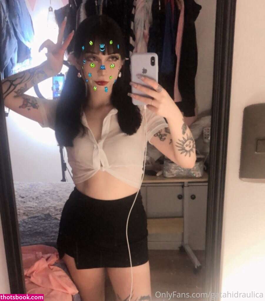 Gatahidraulica Photo #98