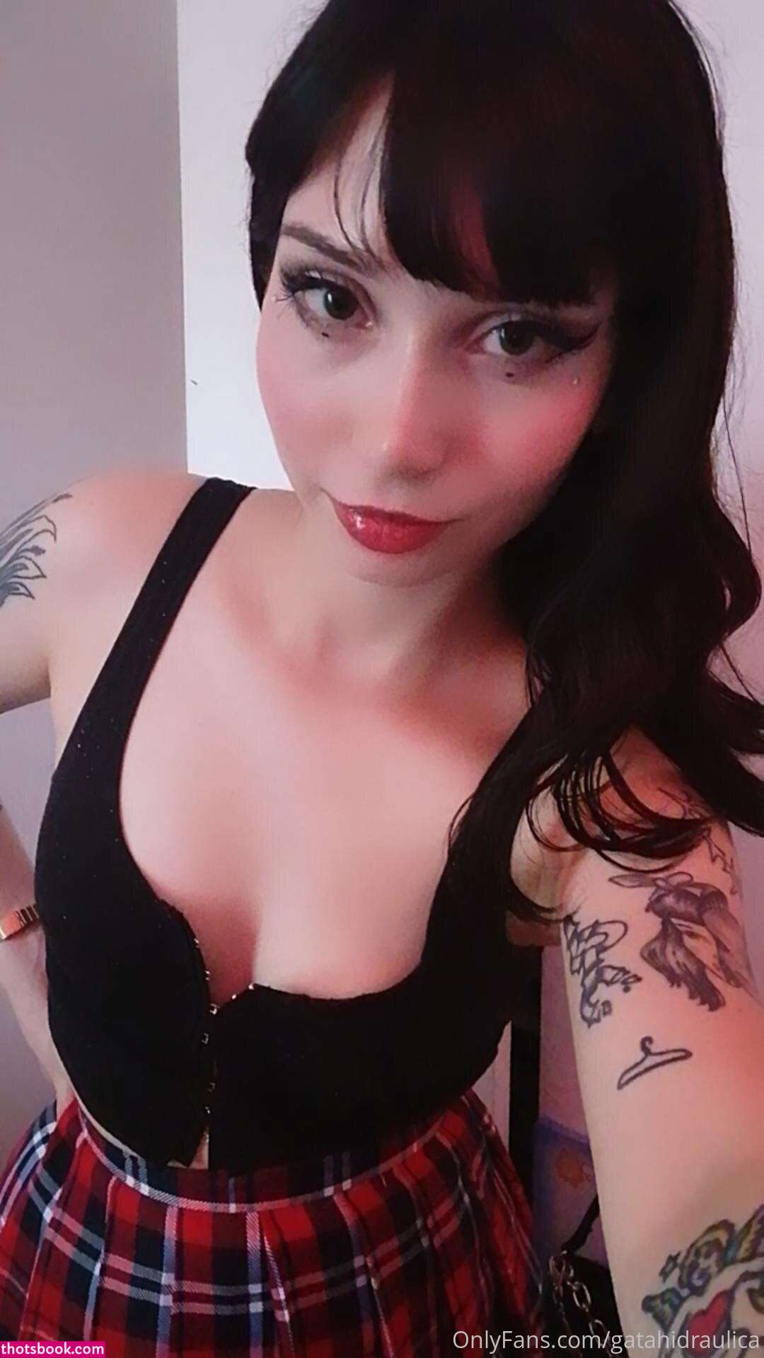 Gatahidraulica Photo #174