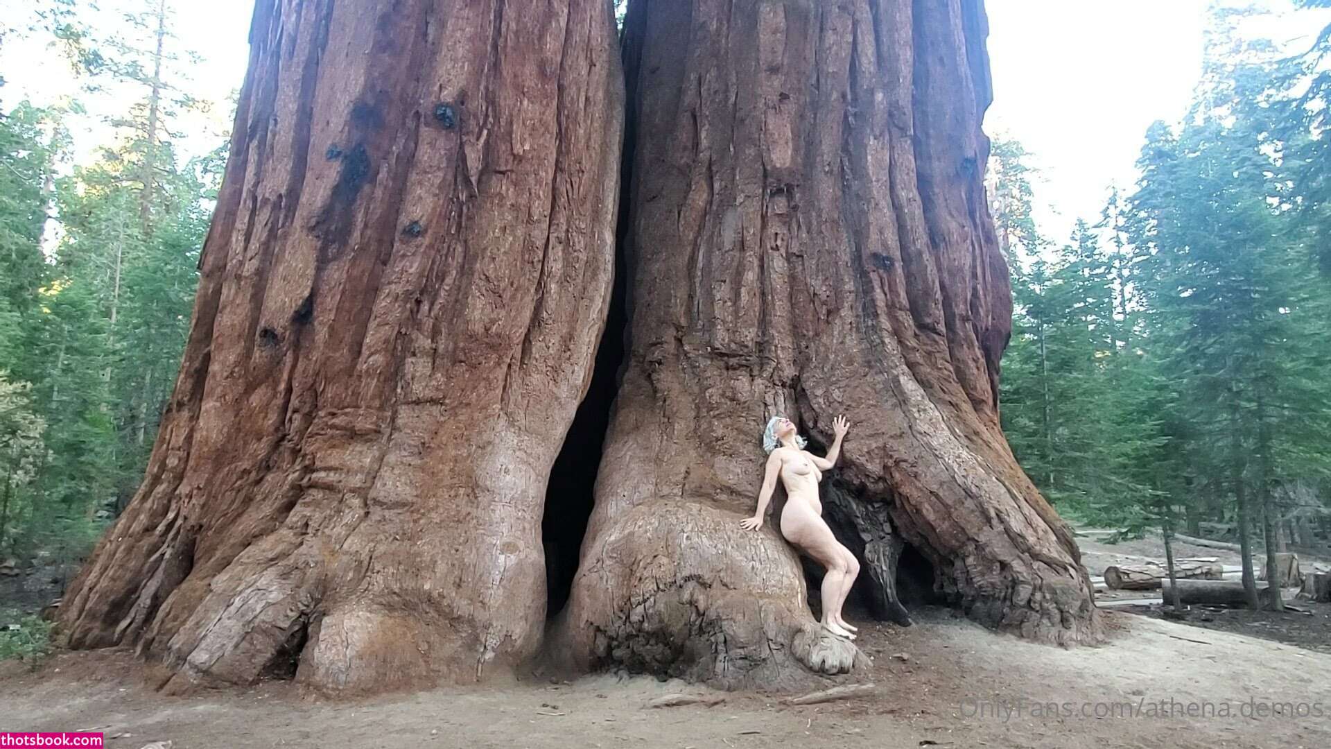 Athena Demos Photo #338