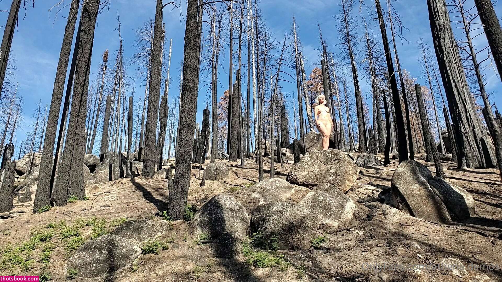 Athena Demos Photo #349