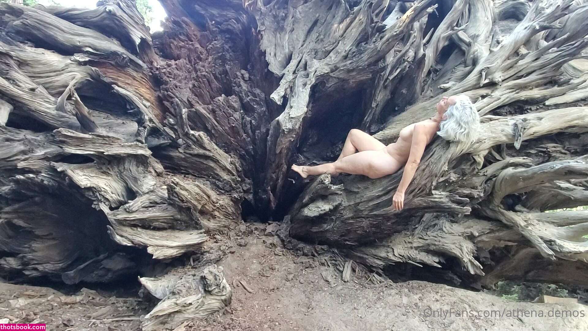 Athena Demos Photo #369