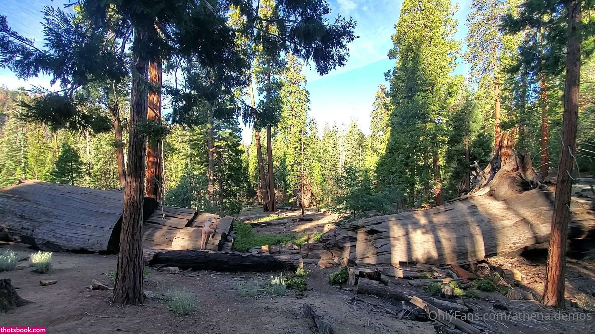 Athena Demos Photo #370