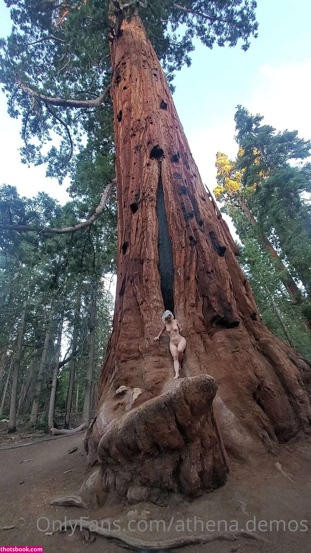 Athena Demos Photo #374