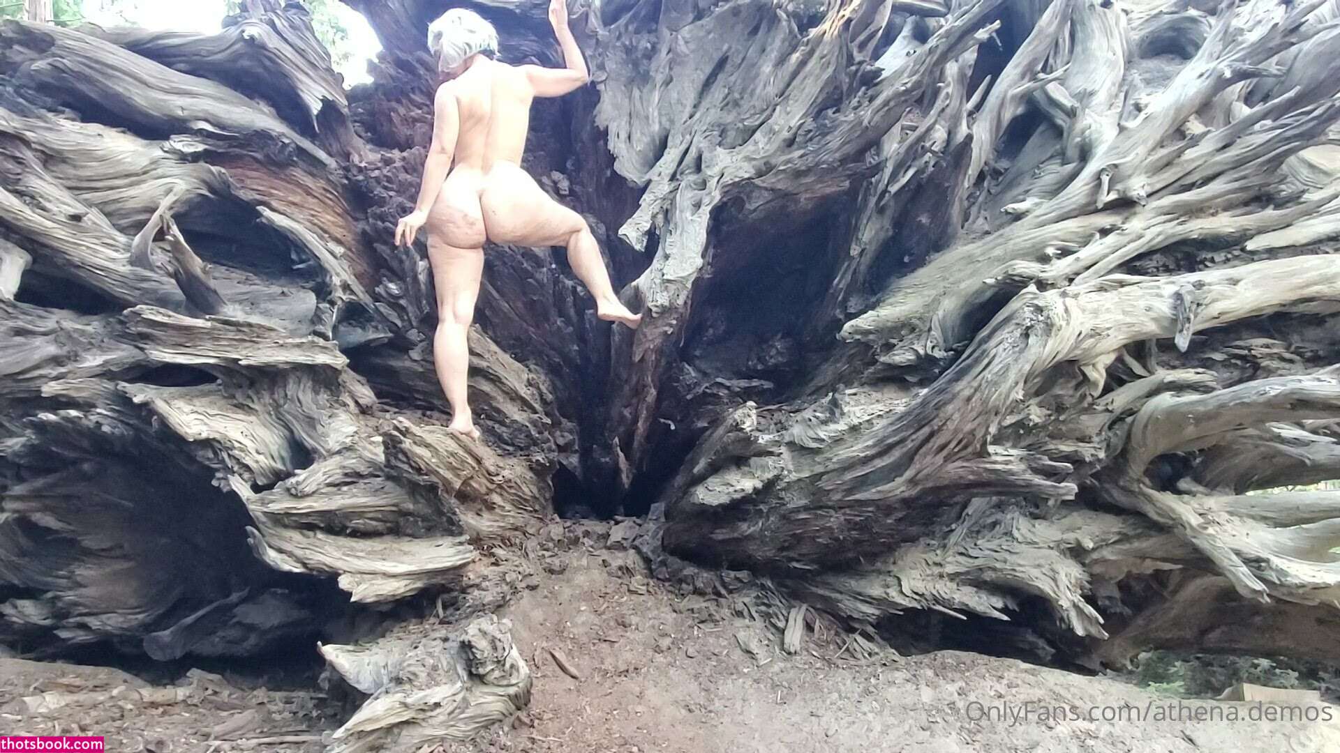 Athena Demos Photo #381