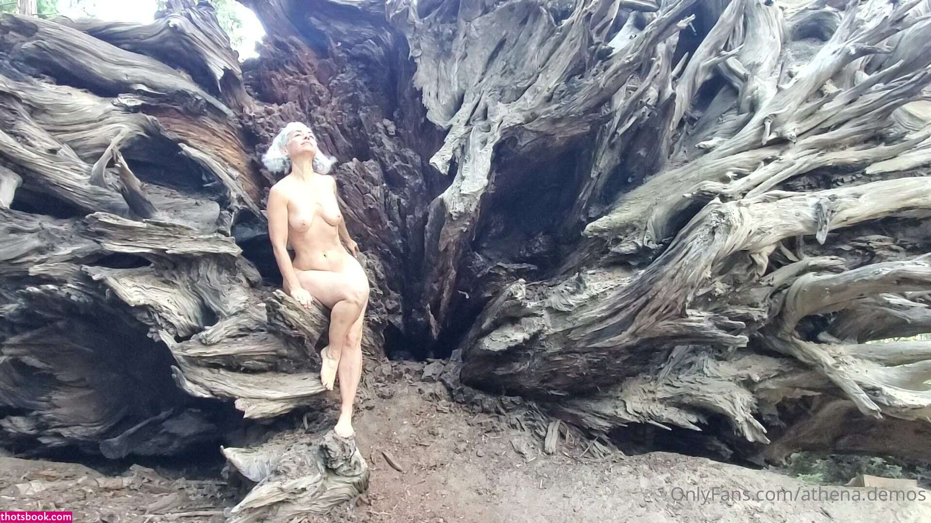 Athena Demos Photo #387