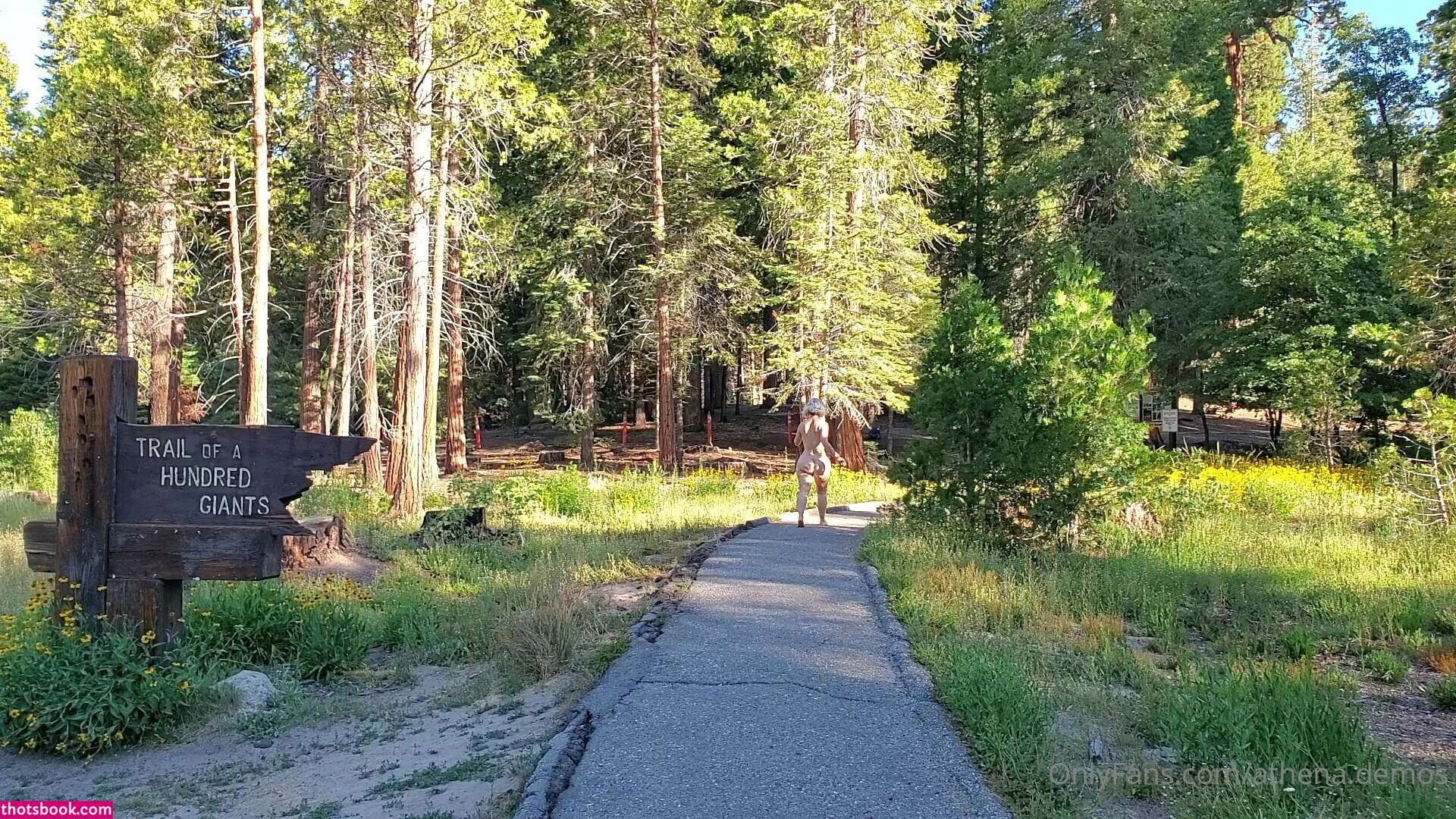 Athena Demos Photo #399