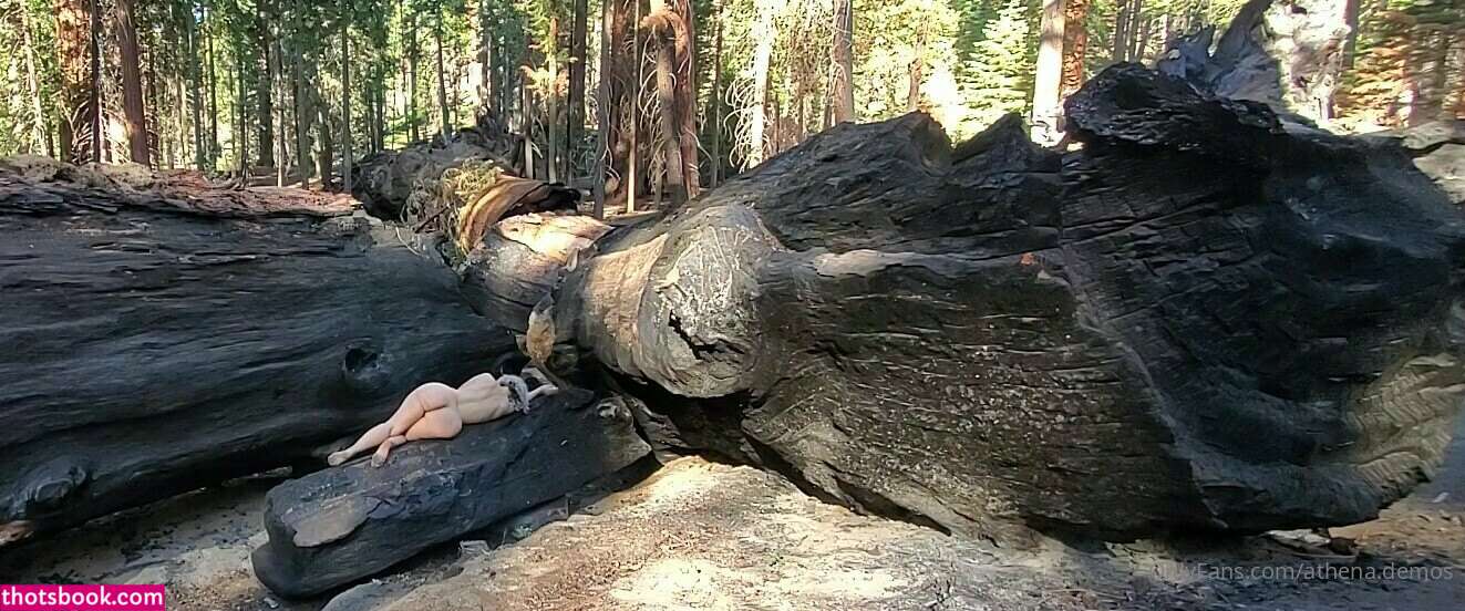 Athena Demos Photo #404