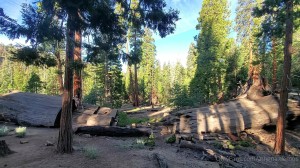 Athena Demos Photo #345