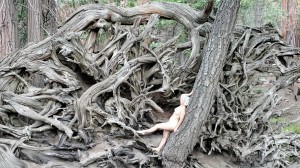 Athena Demos Photo #361