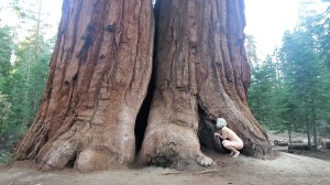 Athena Demos Photo #382