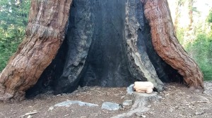 Athena Demos Photo #385