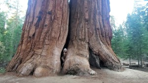 Athena Demos Photo #390