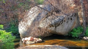 Athena Demos Photo #391