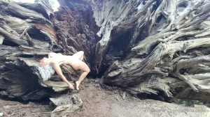 Athena Demos Photo #393