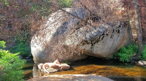 Athena Demos Photo #398