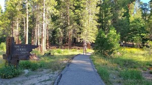 Athena Demos Photo #399