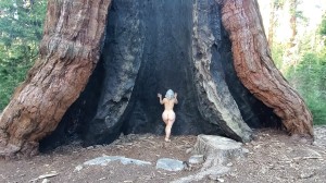 Athena Demos Photo #402