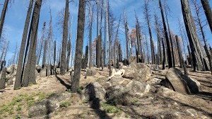 Athena Demos Photo #406