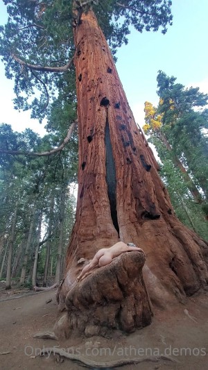 Athena Demos Photo #417