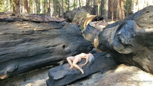 Athena Demos Video #418