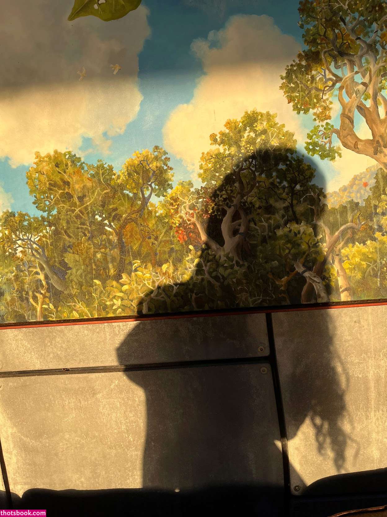 snowbunnixx Photo #5