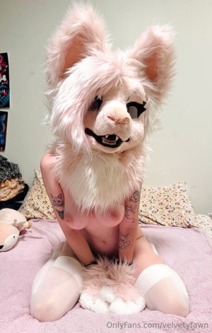velvetyfawn Photo #47