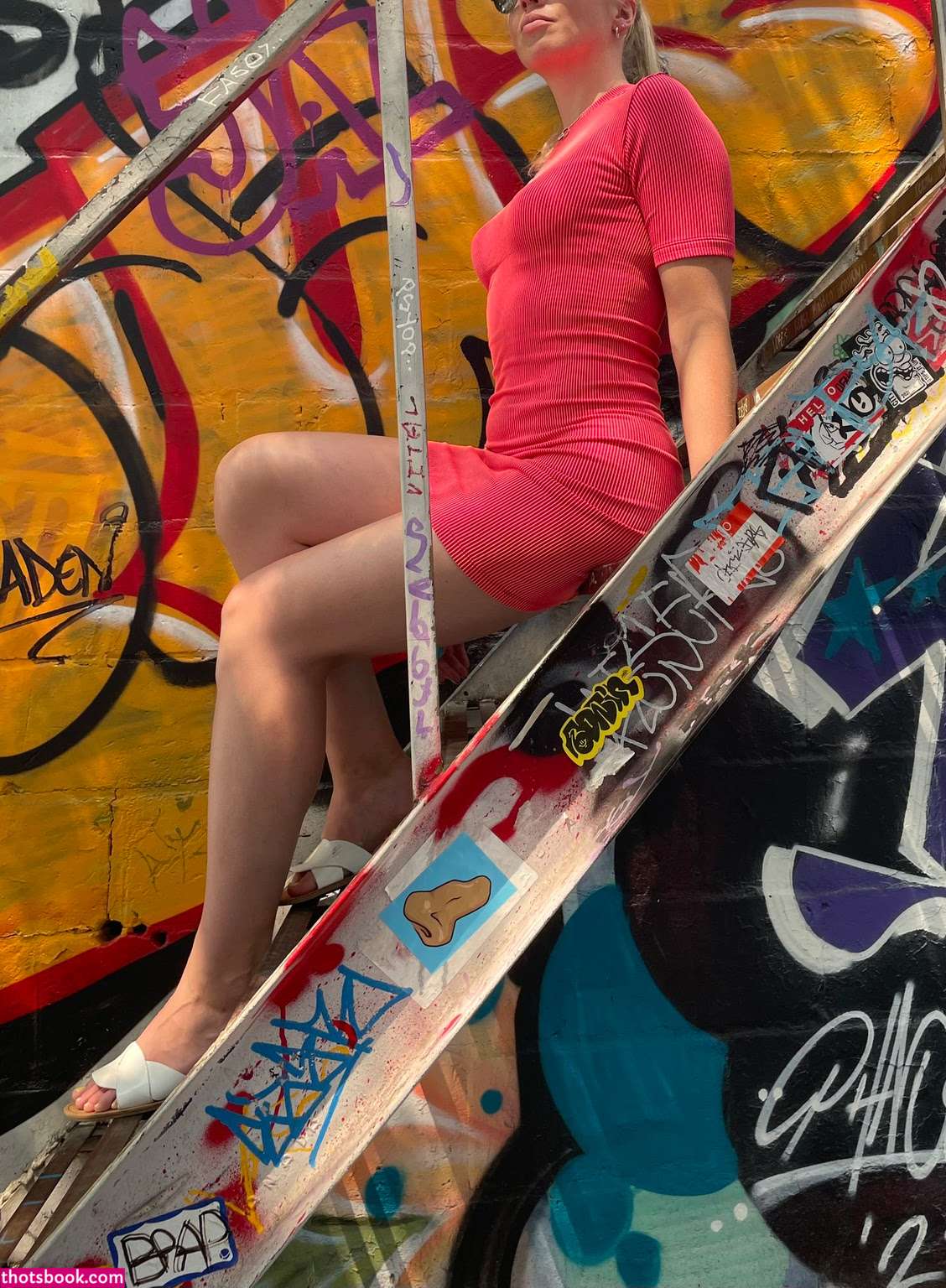 Norwegian Snowbunny Photo #16