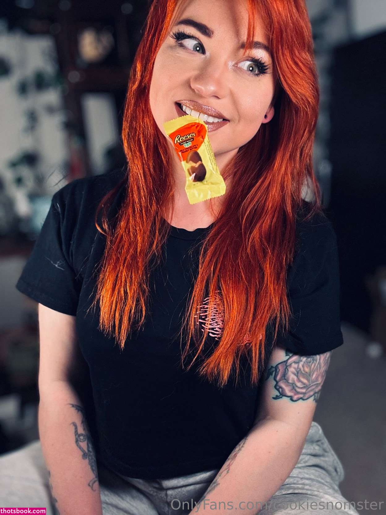 cookiesnomster Photo #9