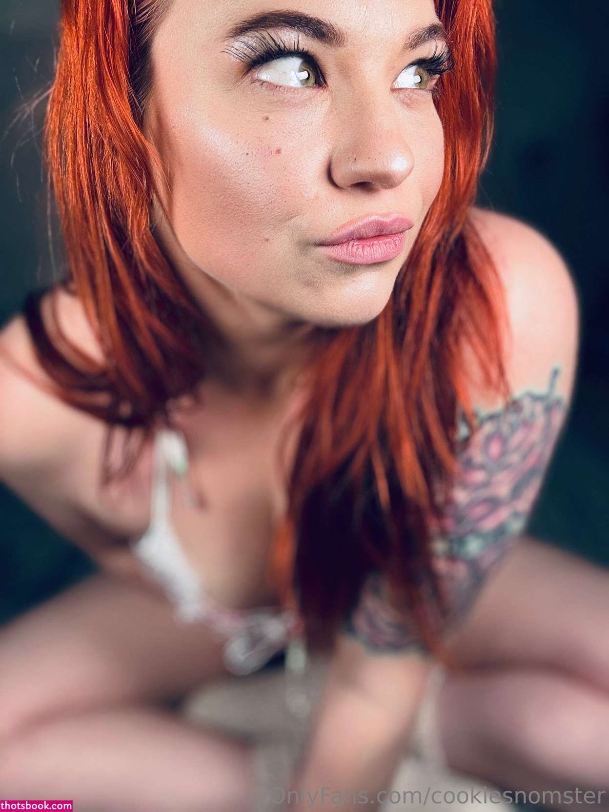 cookiesnomster Photo #11