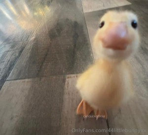 44littlebunnyxx Photo #30