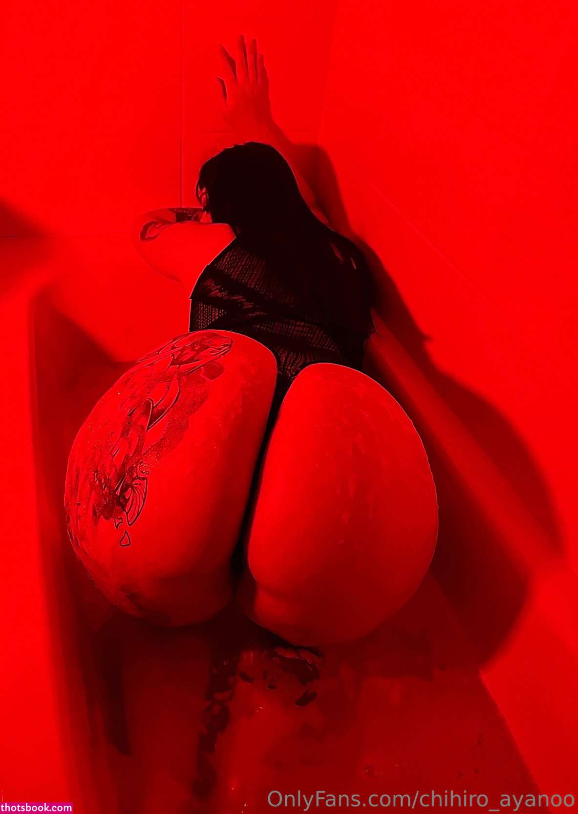 Chihiro Ayanoo Photo #33